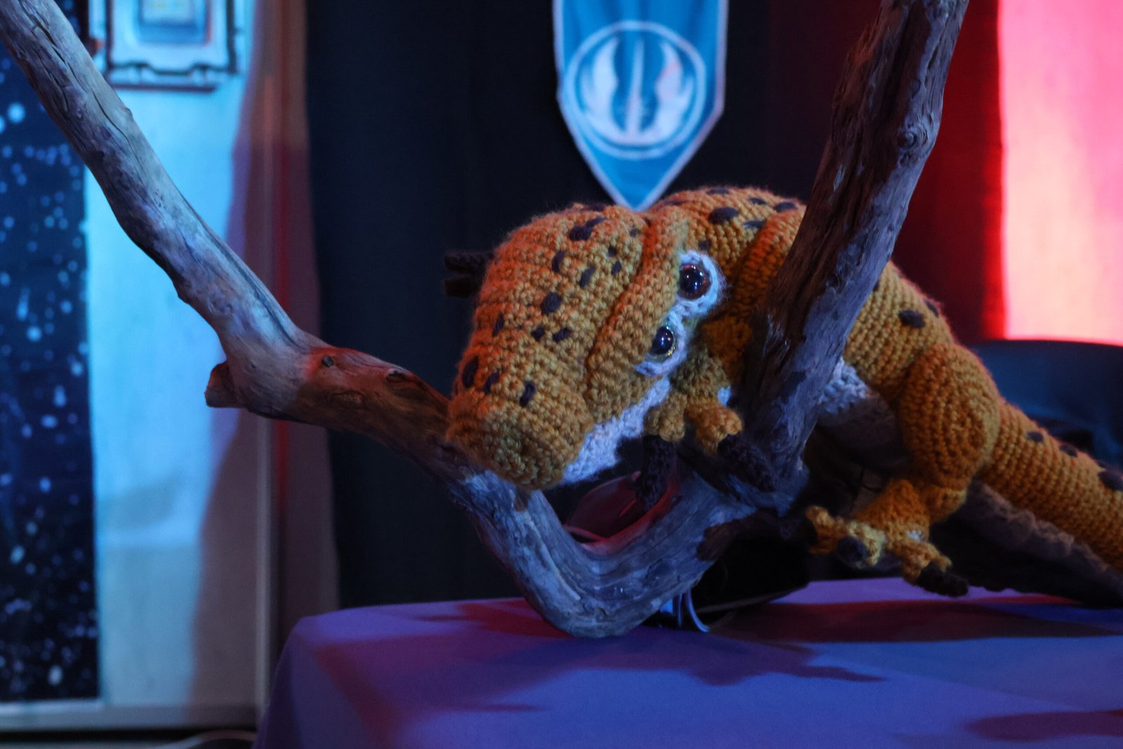 2026_03_07 - Festival Yggdrasil 14